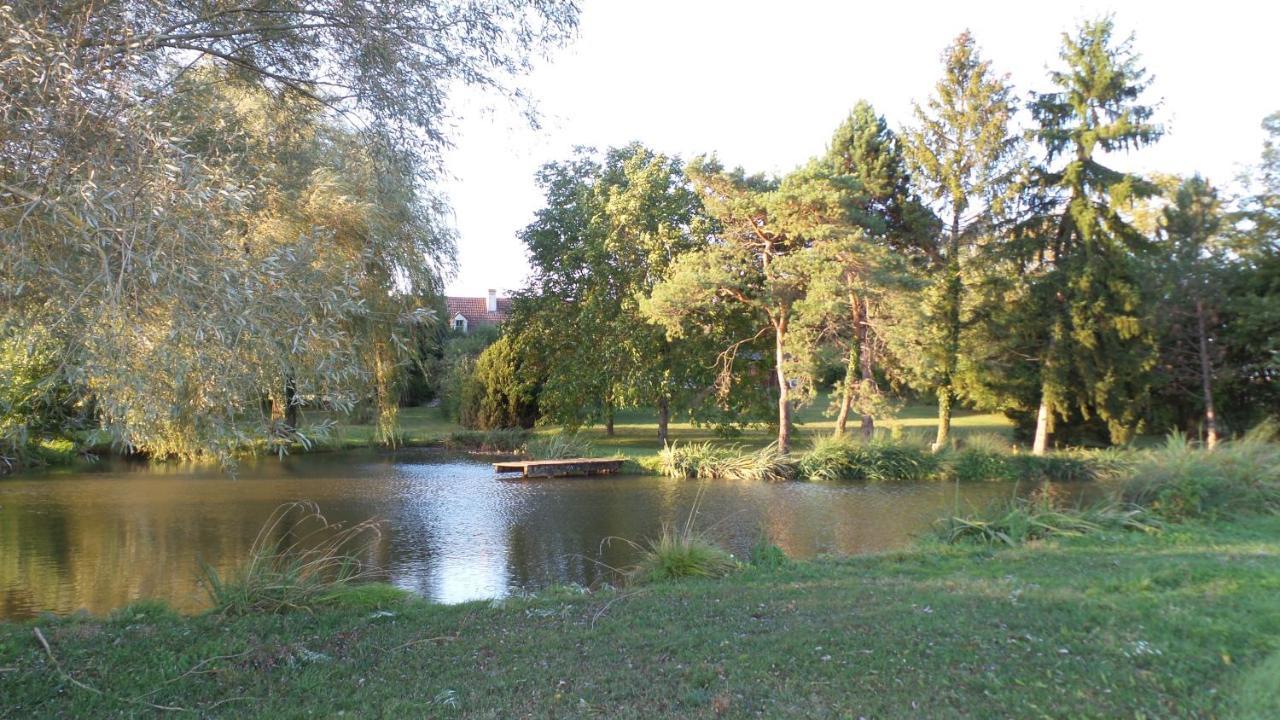 Vignoux-sous-les-AixLa Petite Noue住宿加早餐旅馆 外观 照片